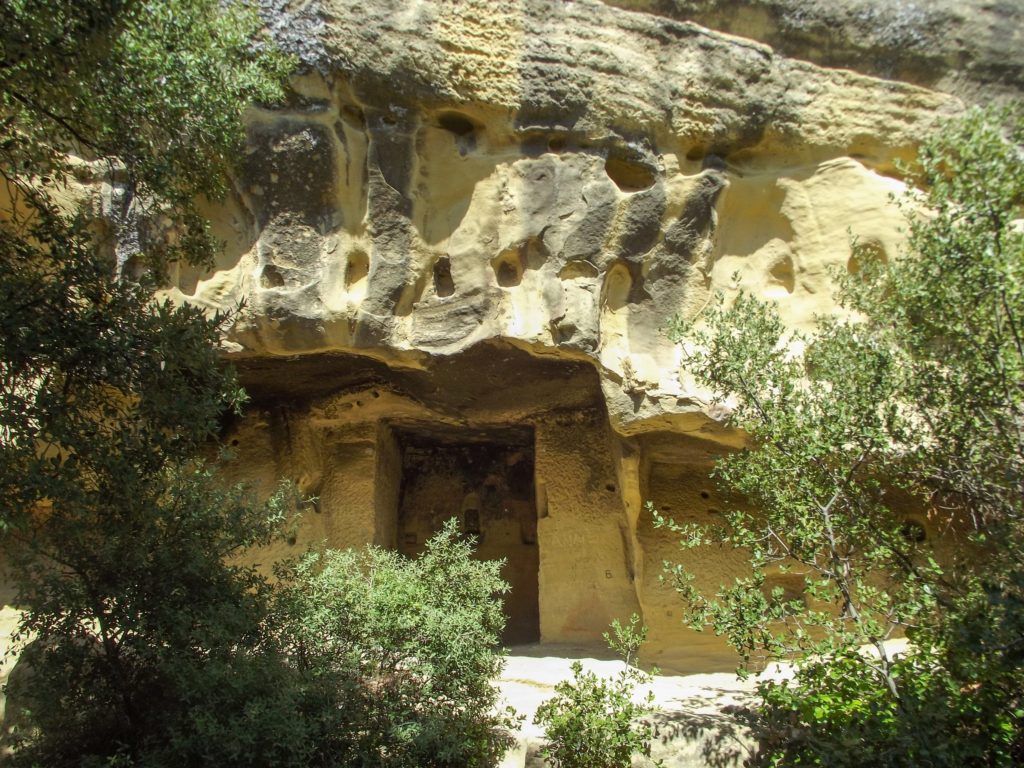 The remains of caves hidden behind tall bushes.