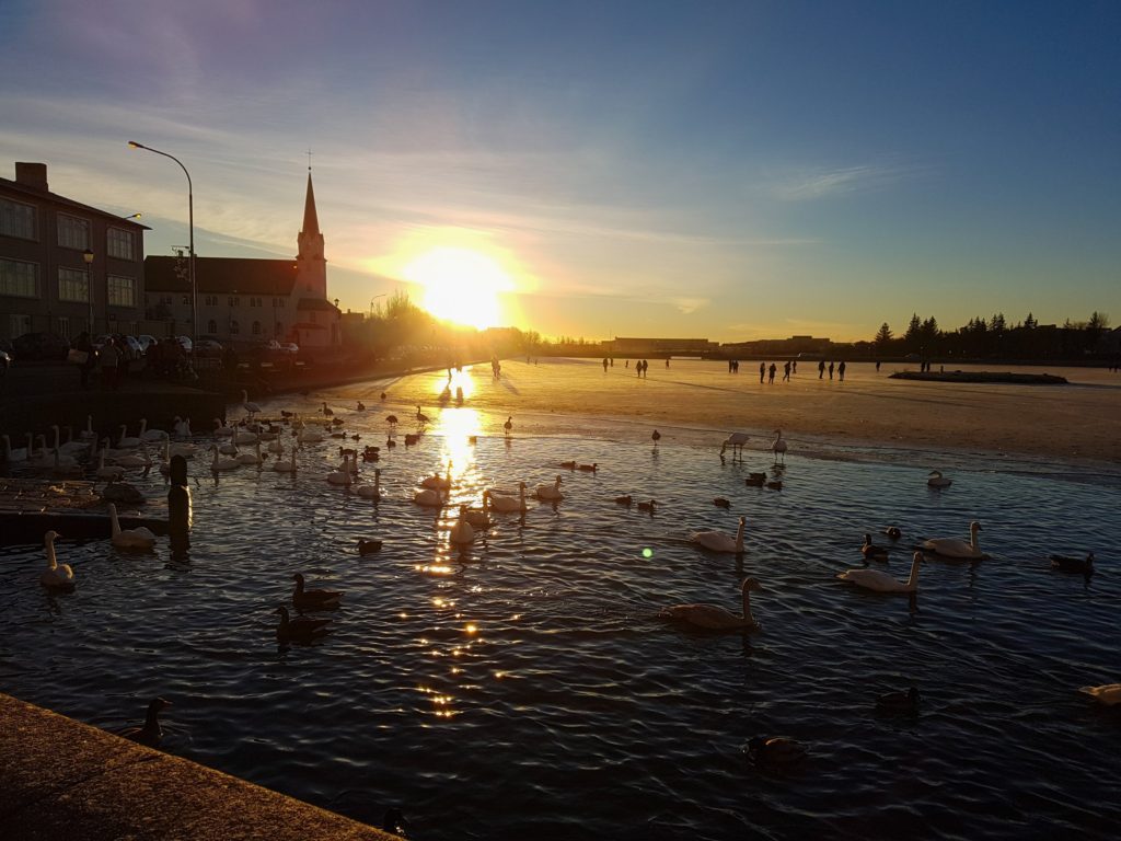Sunset on Lake Tjörnin. Half of the lake is frozen and used by skaters, the other half thawed and used by the birds.