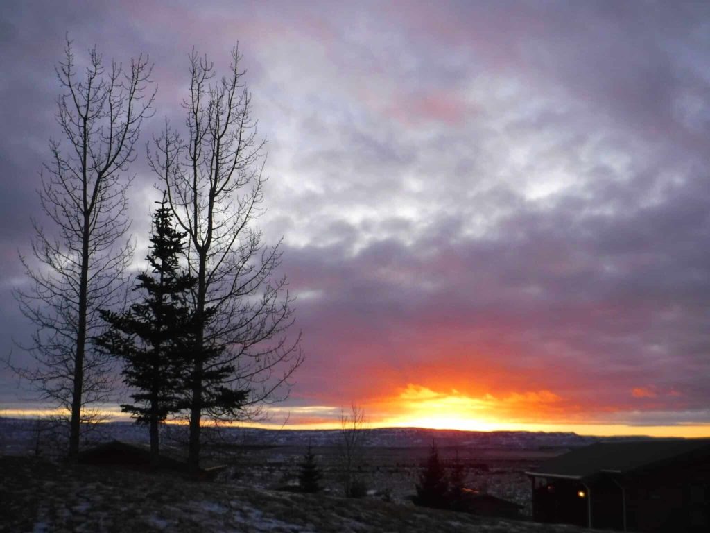 The sun rises over a frozen landscape. Three tall trees stand in the foreground.