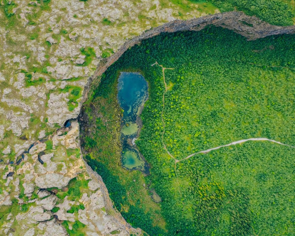 A top-down view of the green Ásbyrgi Canyon.