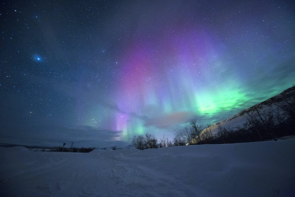 Purple, pink, blue and green lights from the Aurora shine in the night sky.