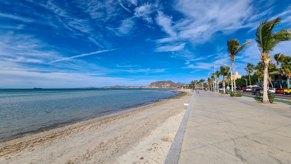 Palm trees line the La Paz beachfront. Mountains can be seen in the distance.