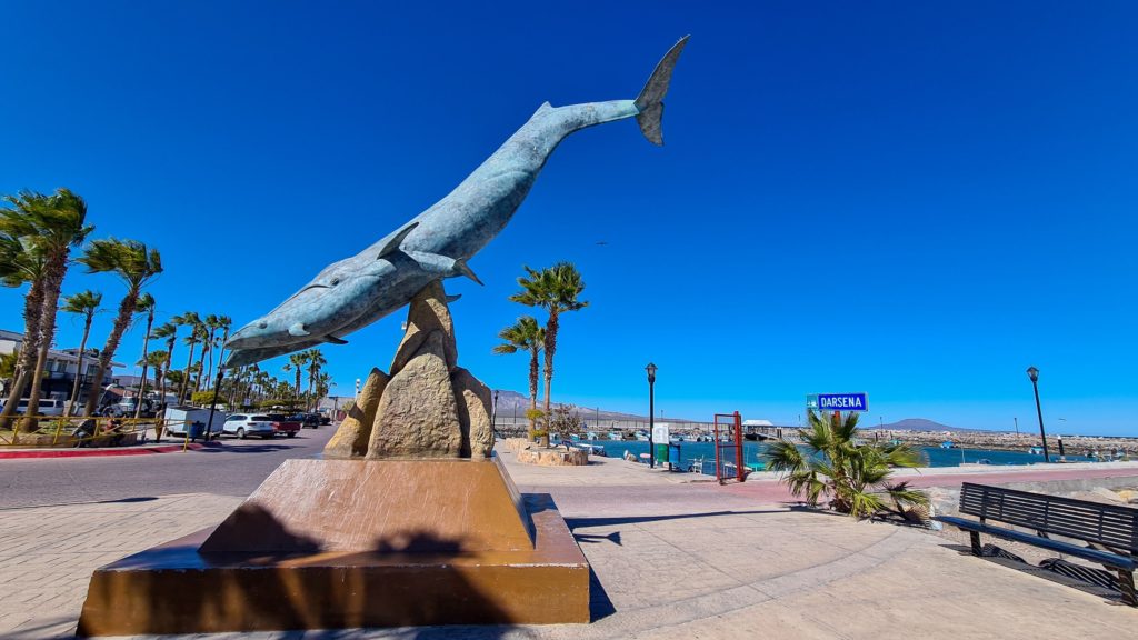 A large metal sculpture of an adult blue whale and baby stands on the Loreto Malecon. Palm trees sway in the breeze in the background.