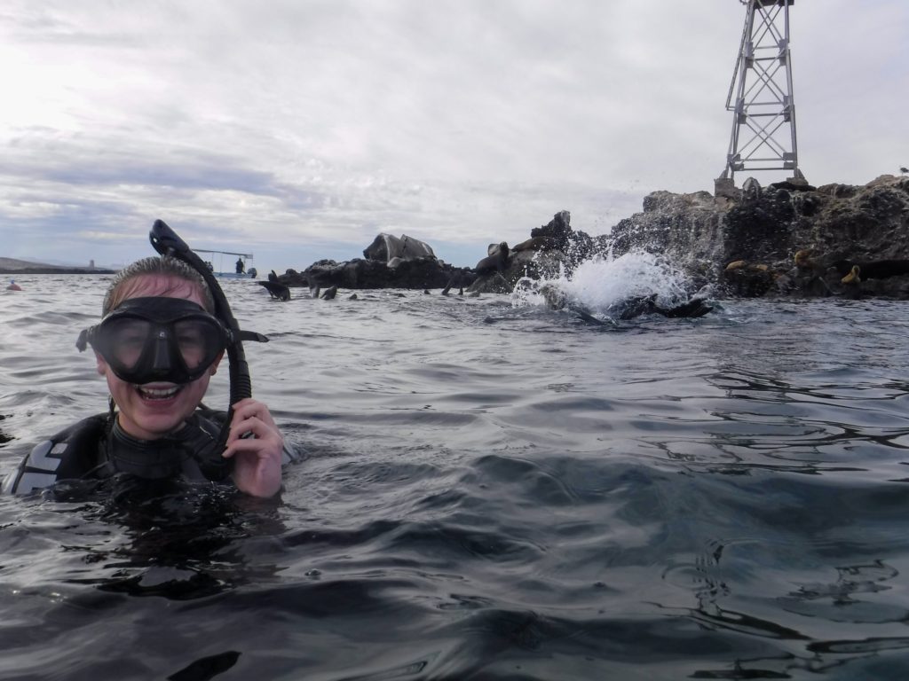 A snorkeller laughs as a sea lion jumps into the water nearby.