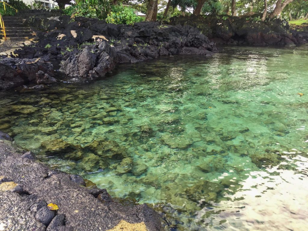 10 TOP Things to Do in Hilo January 2024