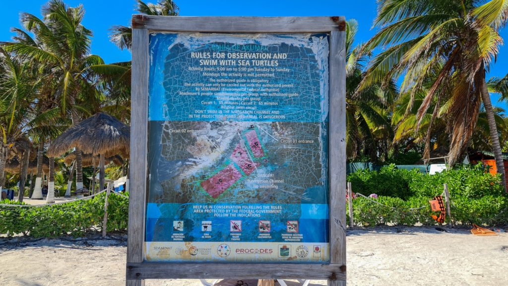 An old sign depicts the rules put in place to protect turtles at Akumal bay. These rules were sadly broken.