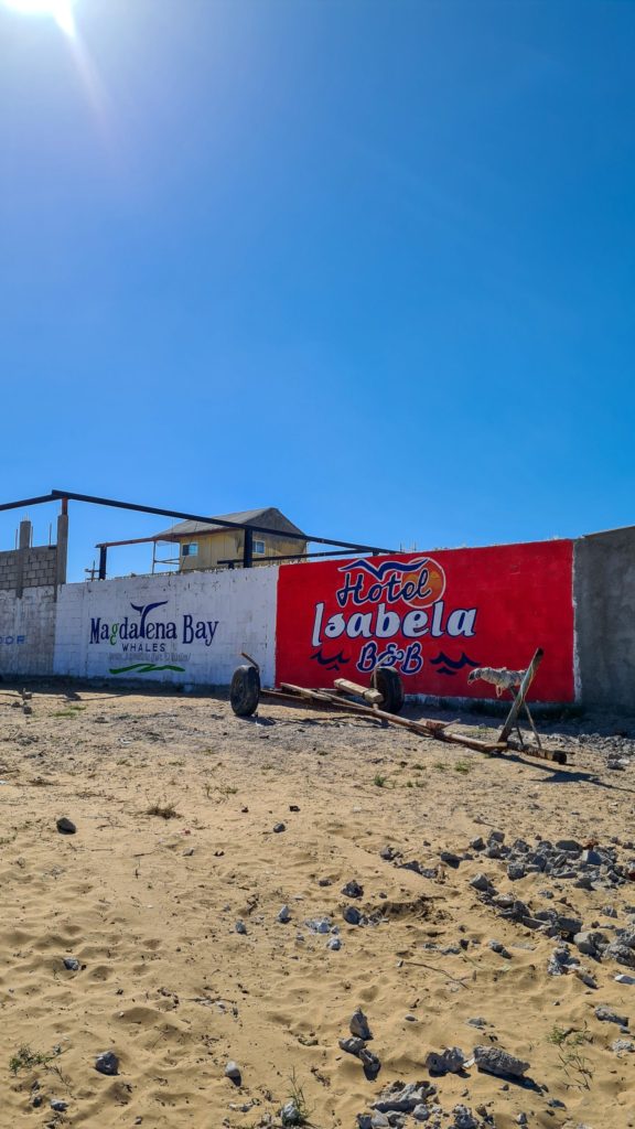 A painted wall advertising Magdalena Bay Whales and Hotel Isabela by the side of a sandy dirt road.