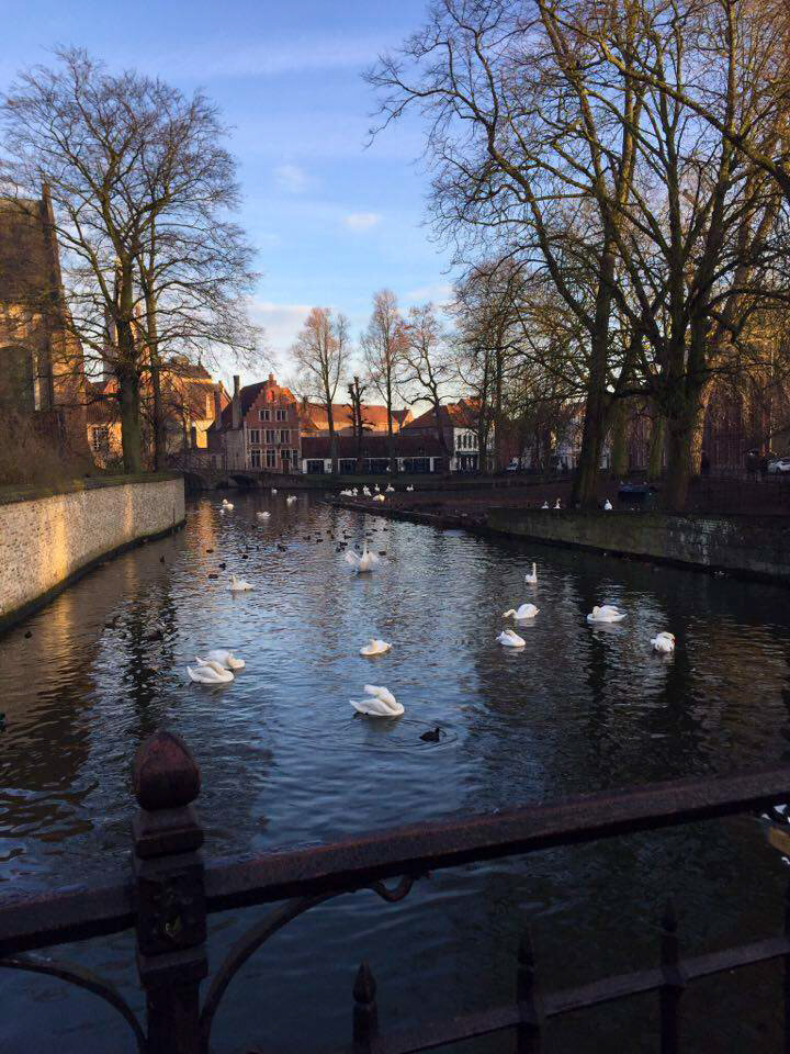 The Thorough Guide to Bruges