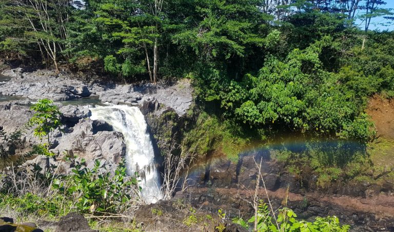The Thorough Guide to Hilo
