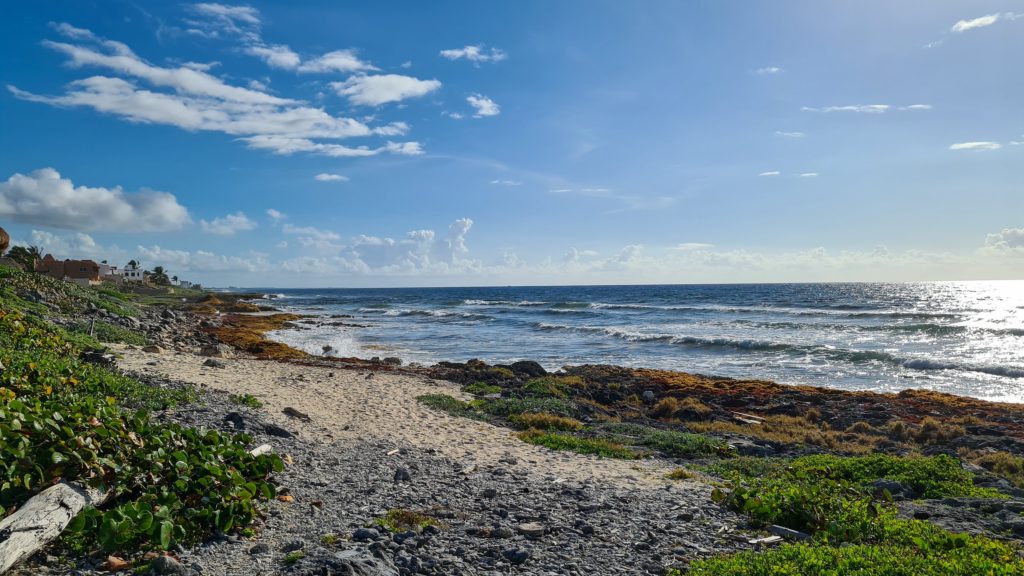 Greenery and shrubs grow along a sandy beach. The sun glints of the calm seas.