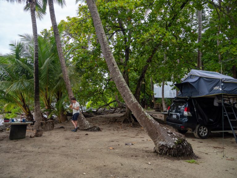 A man leans up against a palm tree and drinks from a fresh coconut. A 4x4 is parked in shot with a rooftop tent open.
