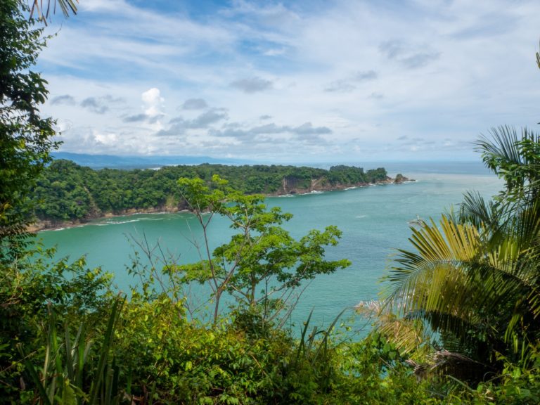 The view from an opening in the canopy of Manuel Antonio National park. The sea is a milky blue and the peninsula stretches out into the sea.