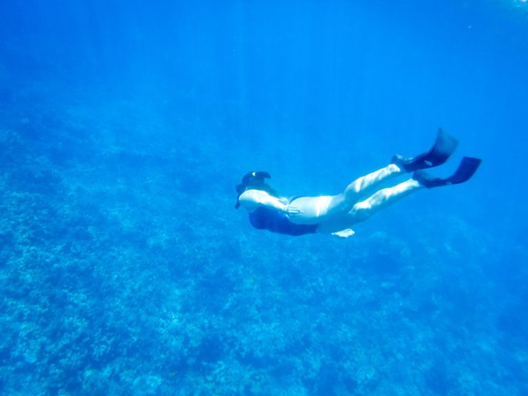 The Thorough Guide to Snorkelling on Hawaii’s Big Island