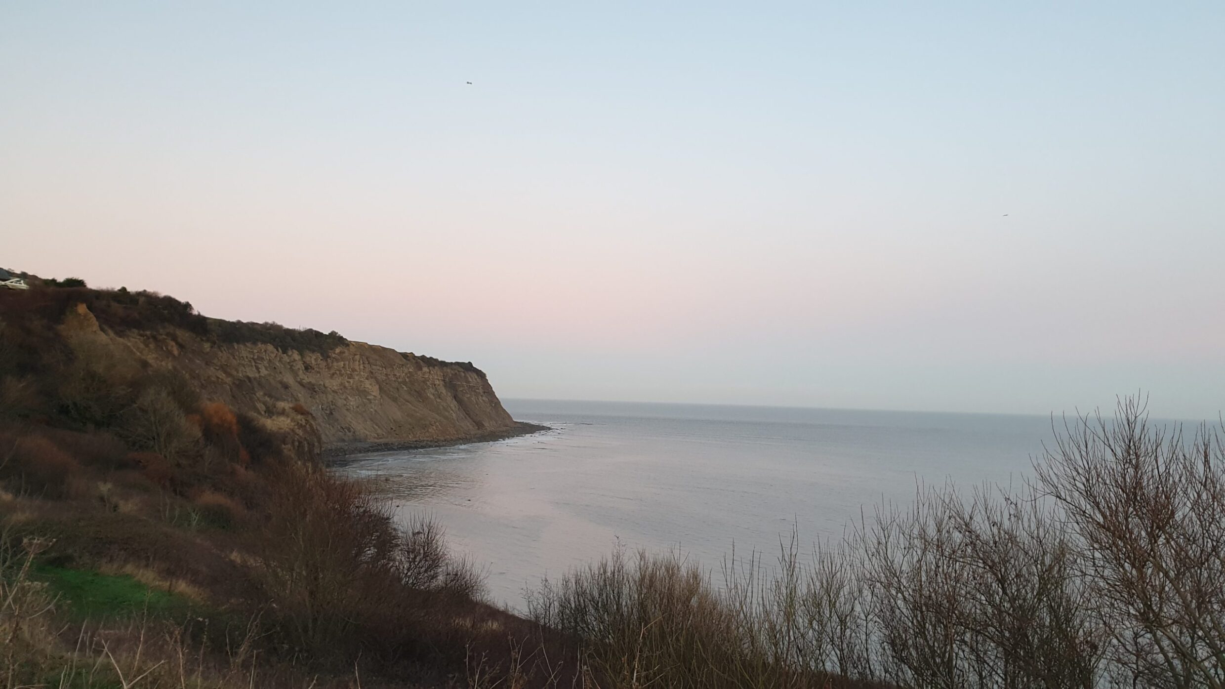 A little bay of calm water is hidden behind shrubbery.
