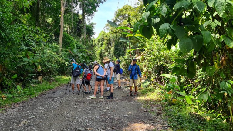 A group of tourists on a guided tour of Manuel Antonio National Park gather around a couple of wildlife telescopes pointed at the green canopy.