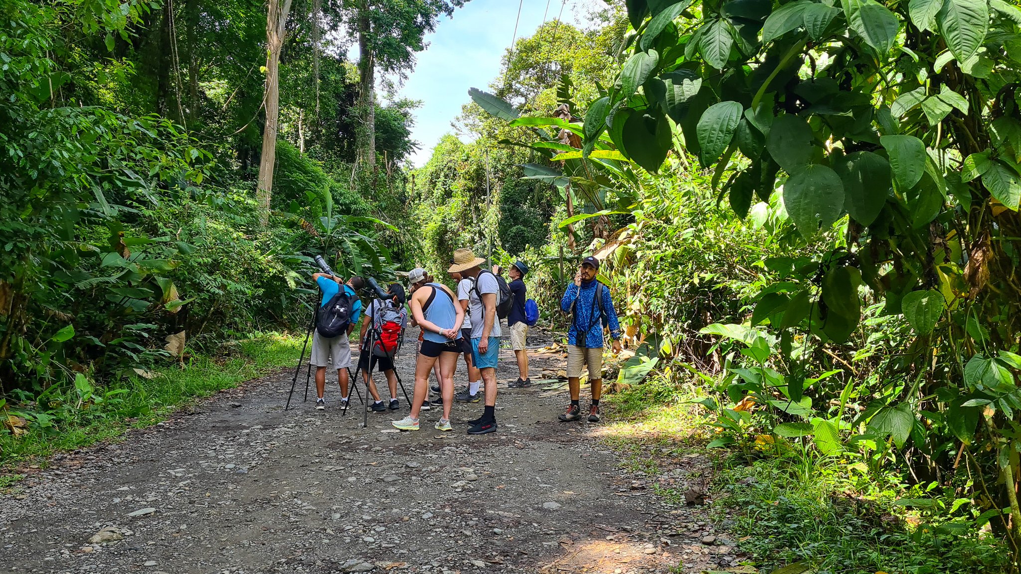 Do you need a guide for Manuel Antonio National Park?