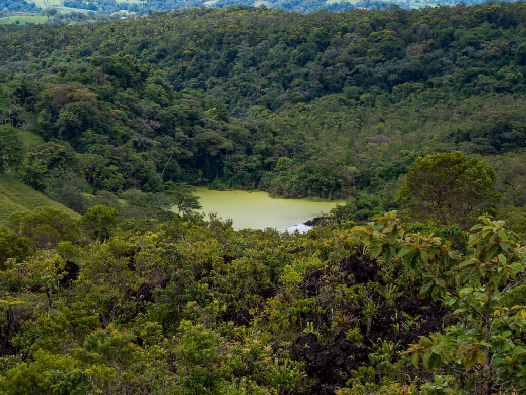 The small green lake of Cerro Chato surrounded by thick trees in Arenal Volcano National Park.
