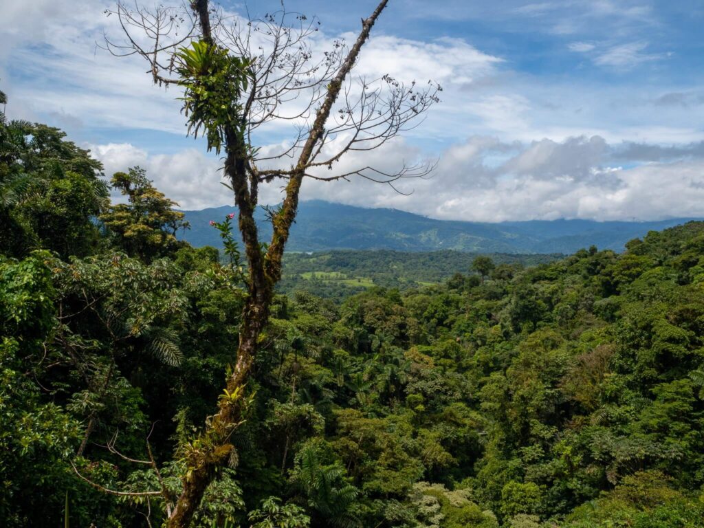 From high up in the canopy, there is a view of Arenal Volcano National Park. The Volcano itself is covered in dense cloud.