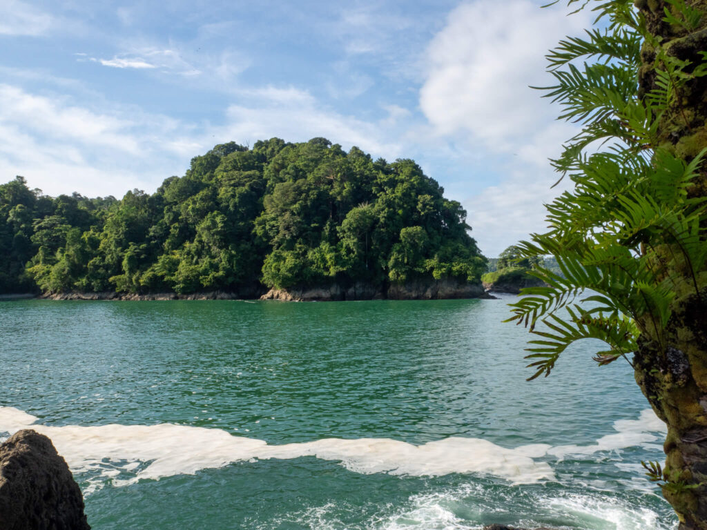 Small stretches of land reach out into the ocean, covered in greenery.