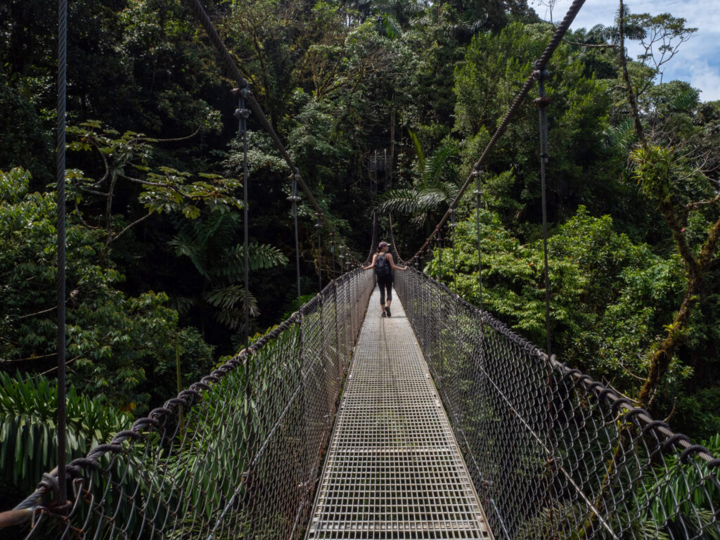 Lucy walking on a hanging bridge in a Costa Rican forest.