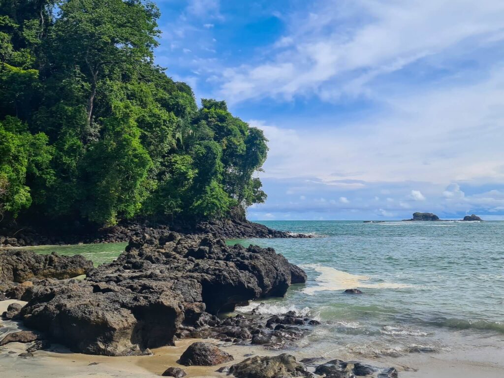 Large rocks on the edge of a forest, meet the sea.