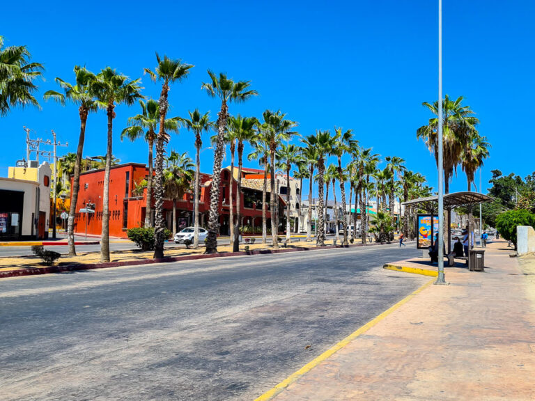 A bus stop in Cabo San Lucas in the sunshine. The street is lined with palm trees and a couple of people are waiting to catch the bus to San Jose del Cabo.