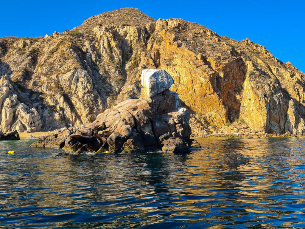 A couple of sea lions lie lazily on a rock formation in Cabo Bay.