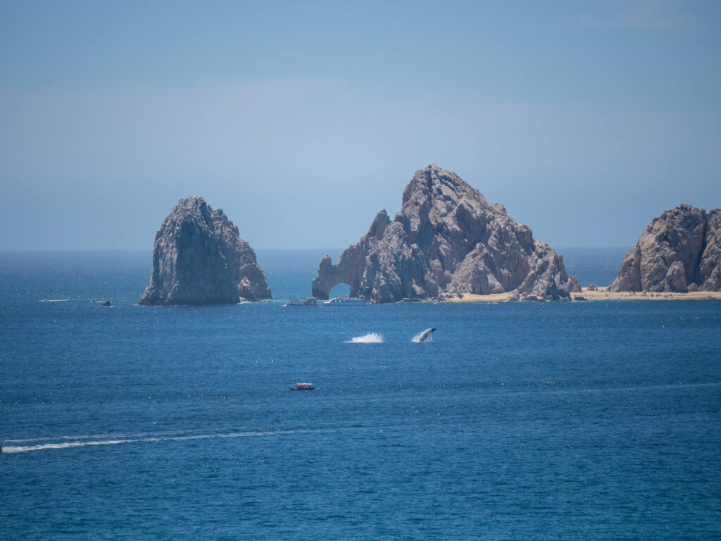 Two whales breaching in front of the Arch of Cabo making large splashes.