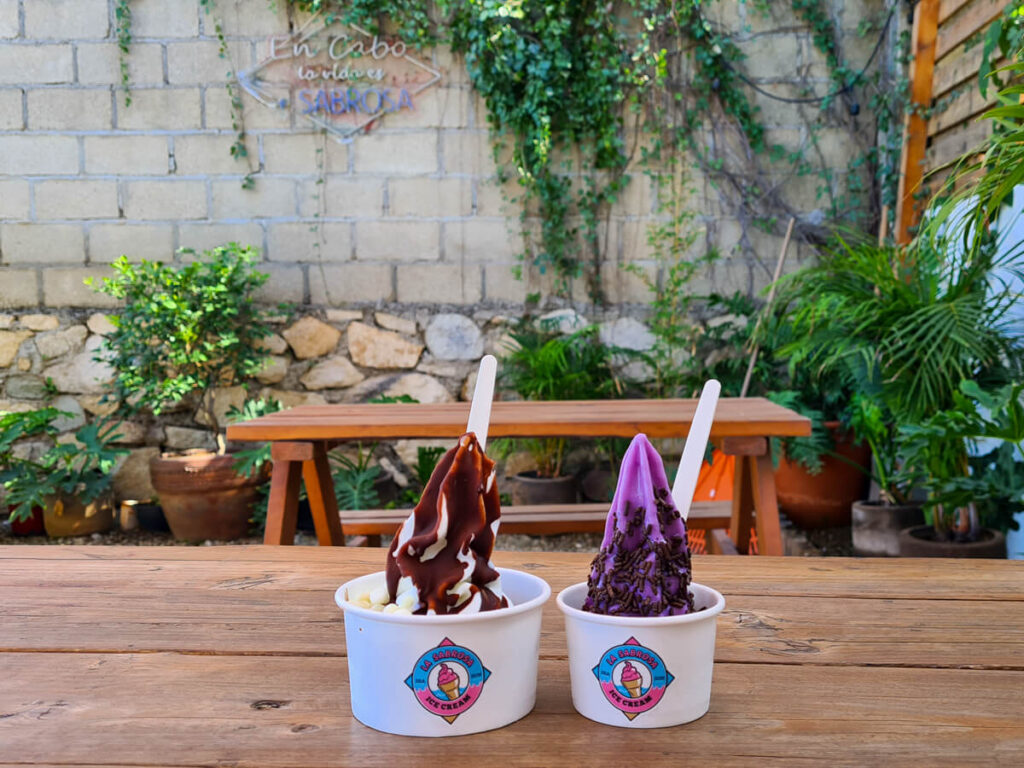 Two tubs of frozen yoghurt on a table in a garden in San José del Cabo.
