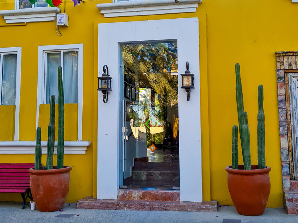 Two cacti line the entrance to a hotel in San José del Cabo.