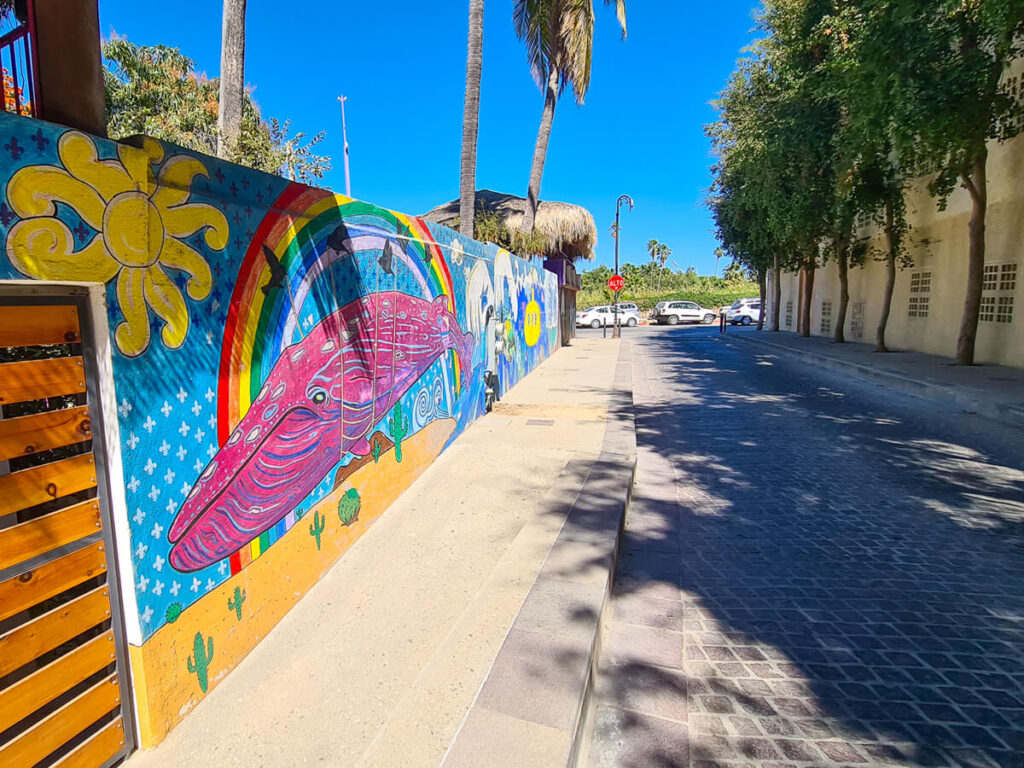 A street in San José del Cabo with a long painted mural along one wall. The mural is a humpback whale, painted pink, as it swims across sunny skies.