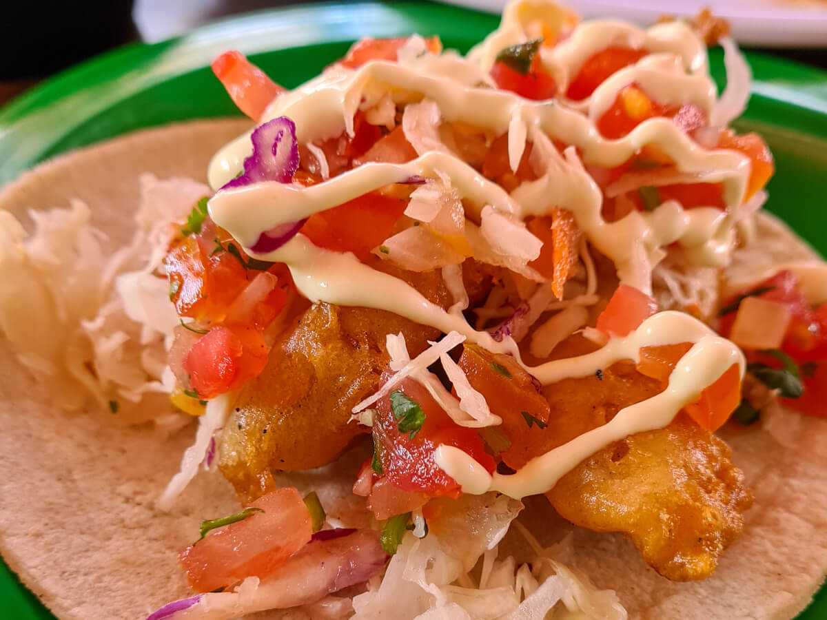 A taco consisting of battered fish, fresh corn tortilla, fresh tomato and a light topping of mayonaise.