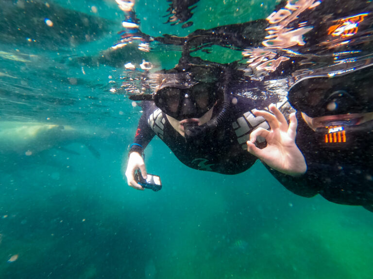 Dan and Lucy snorkelling in front of some sea lions at San Rafaelito.