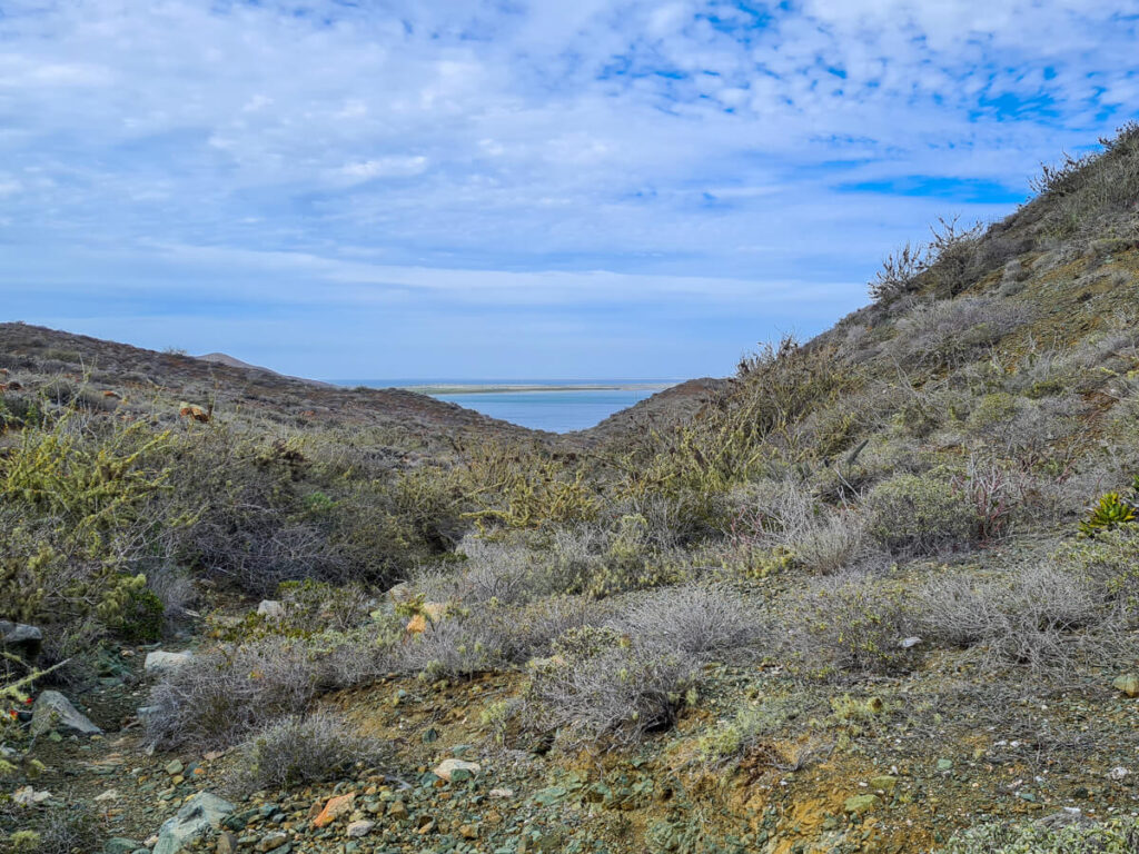 A view of Magdalena Bay from a hike vantage point on Isla Magdalena.