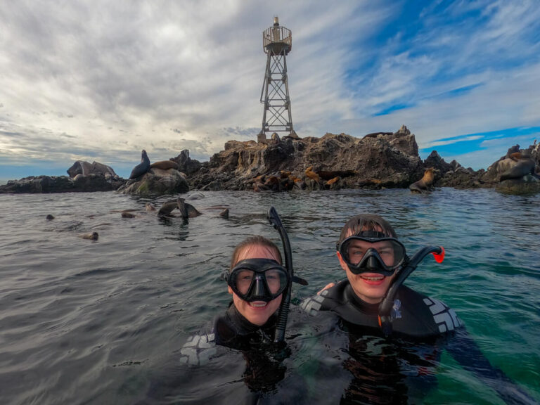 Dan and Lucy in snorkel gear relaxing in the water and smiling for a photo together as sea lions play behind them.