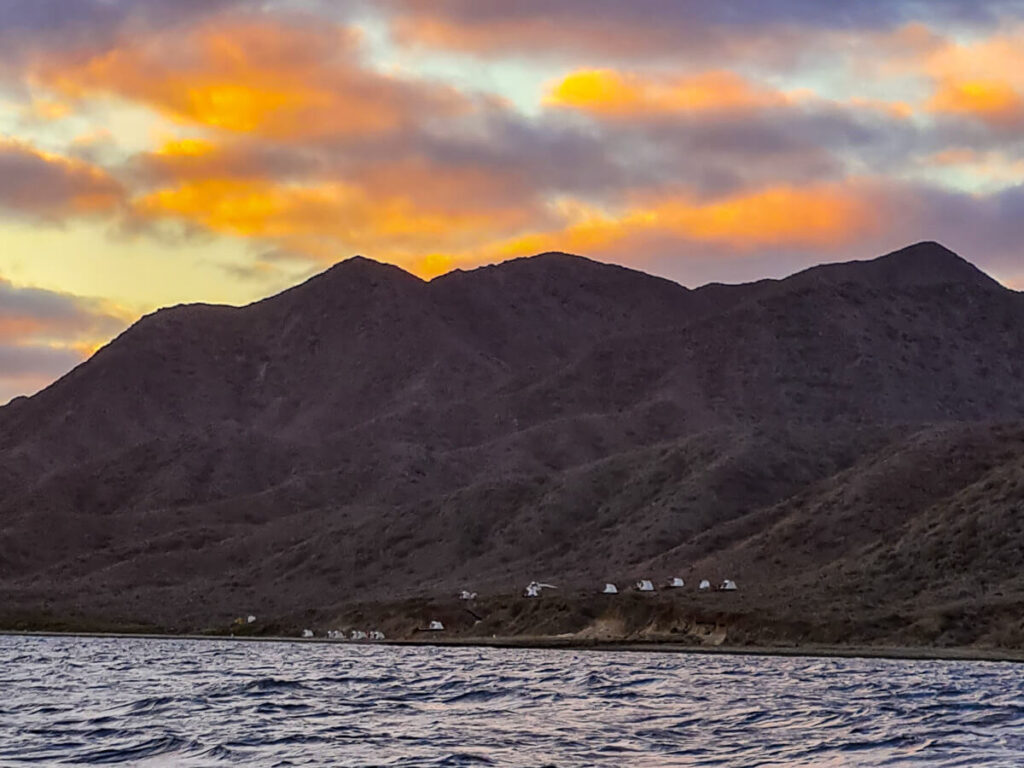 The white glamping tents of Magdalena Bay Whales Camp as seen from the water. The sky is a mix of blues and oranges.
