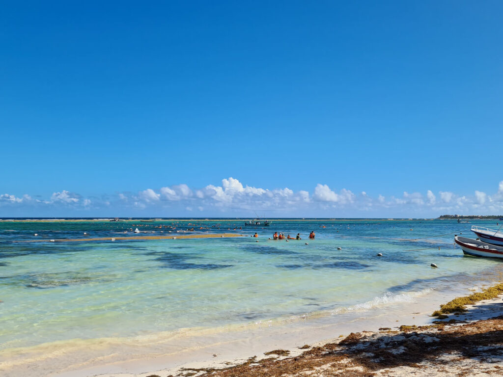 A large group swimming with turtles in Akumal Bay.