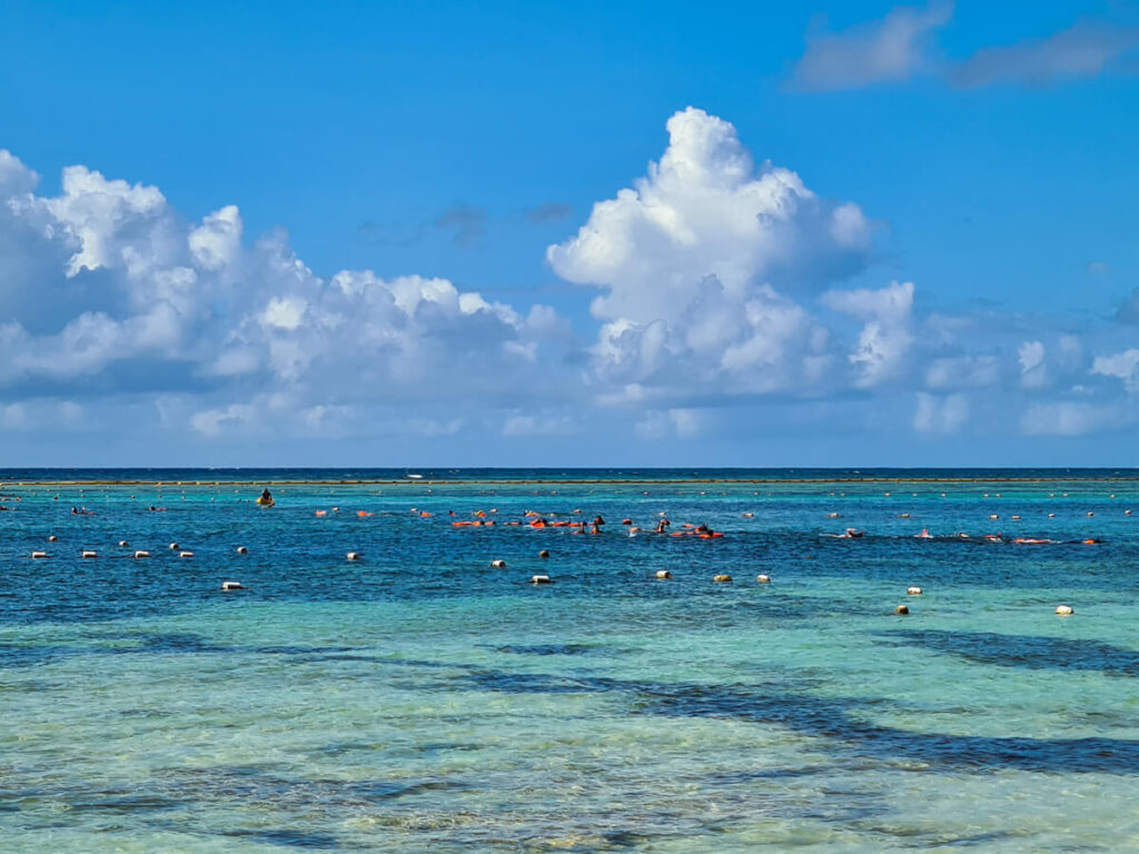 Crowds of people swimming in life jackets in the turtle tour zone in Akumal Bay.