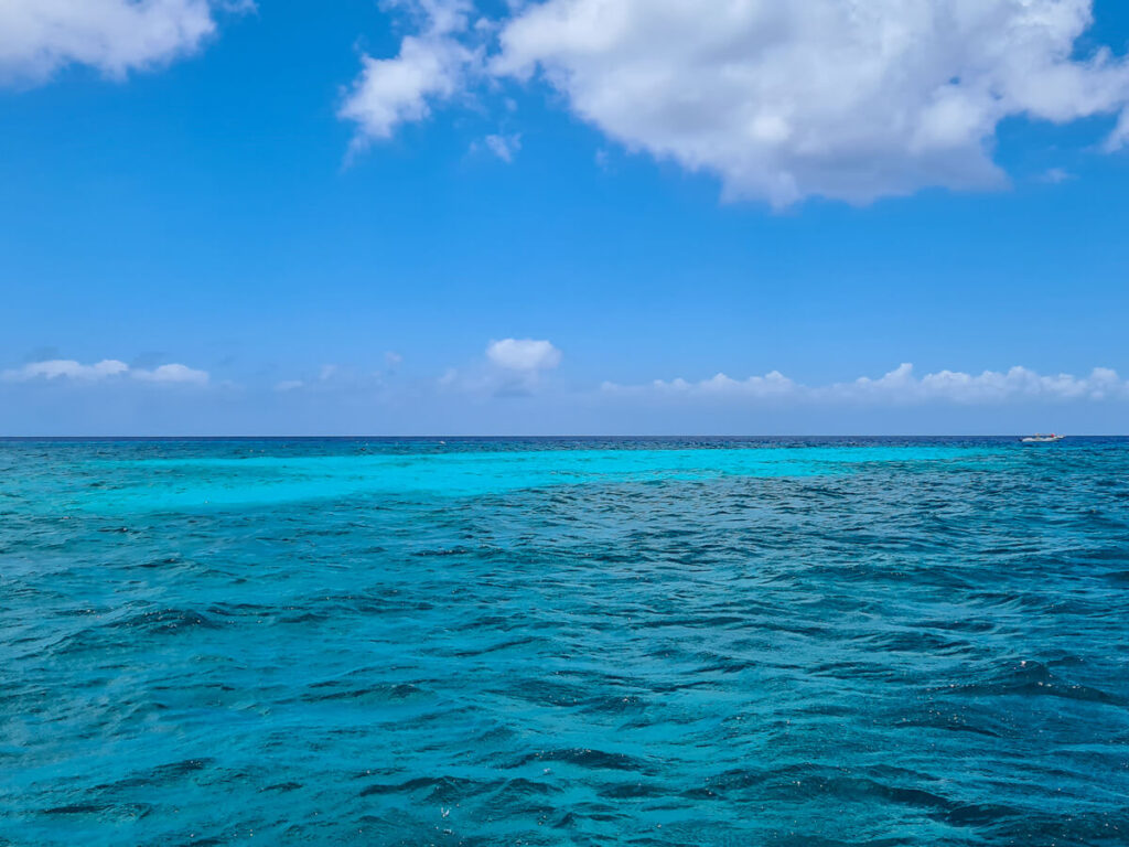 The bright blue waters off Isla Cozumel.