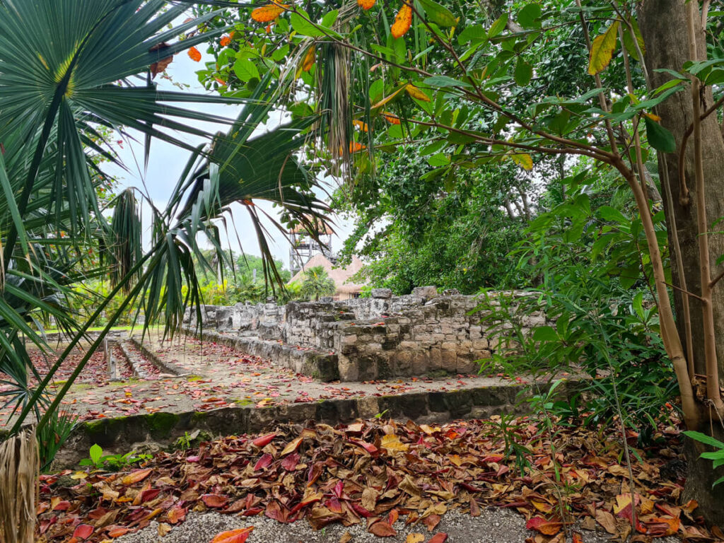 Peaking through the trees at the ruins of an old Mayan building.