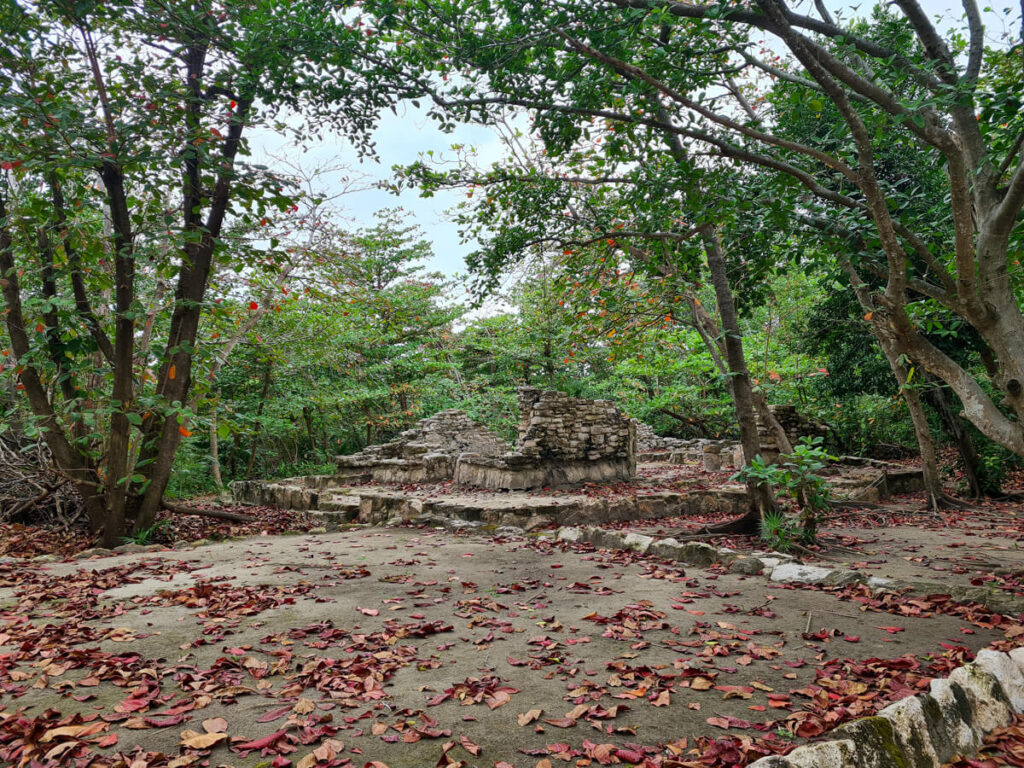 A small crumbled structure surrounded by tall trees at the site of San Miguelito.