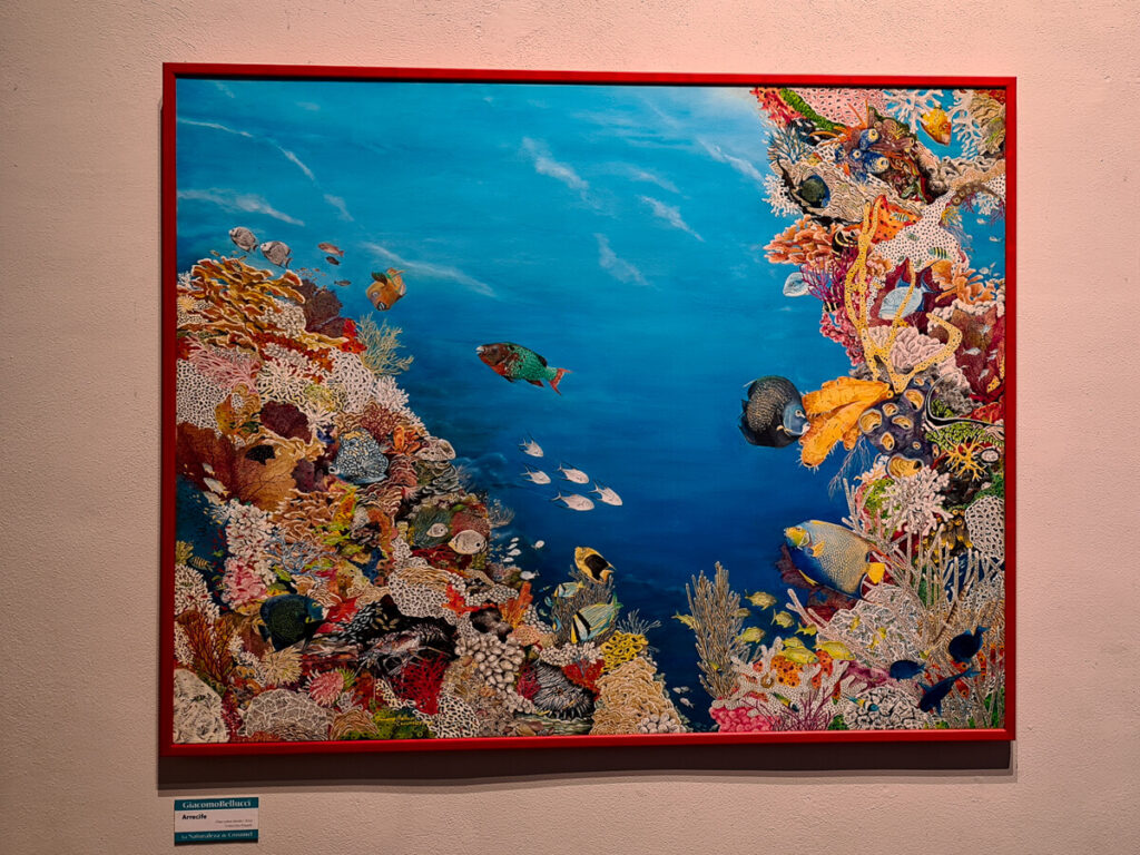 A painting of corals and fish in a museum in Isla Cozumel.