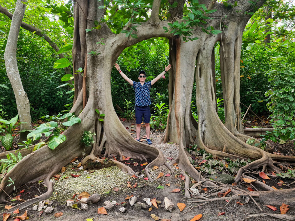 Dan with his arms outstretched standing below a towering banyan tree in Cancún.