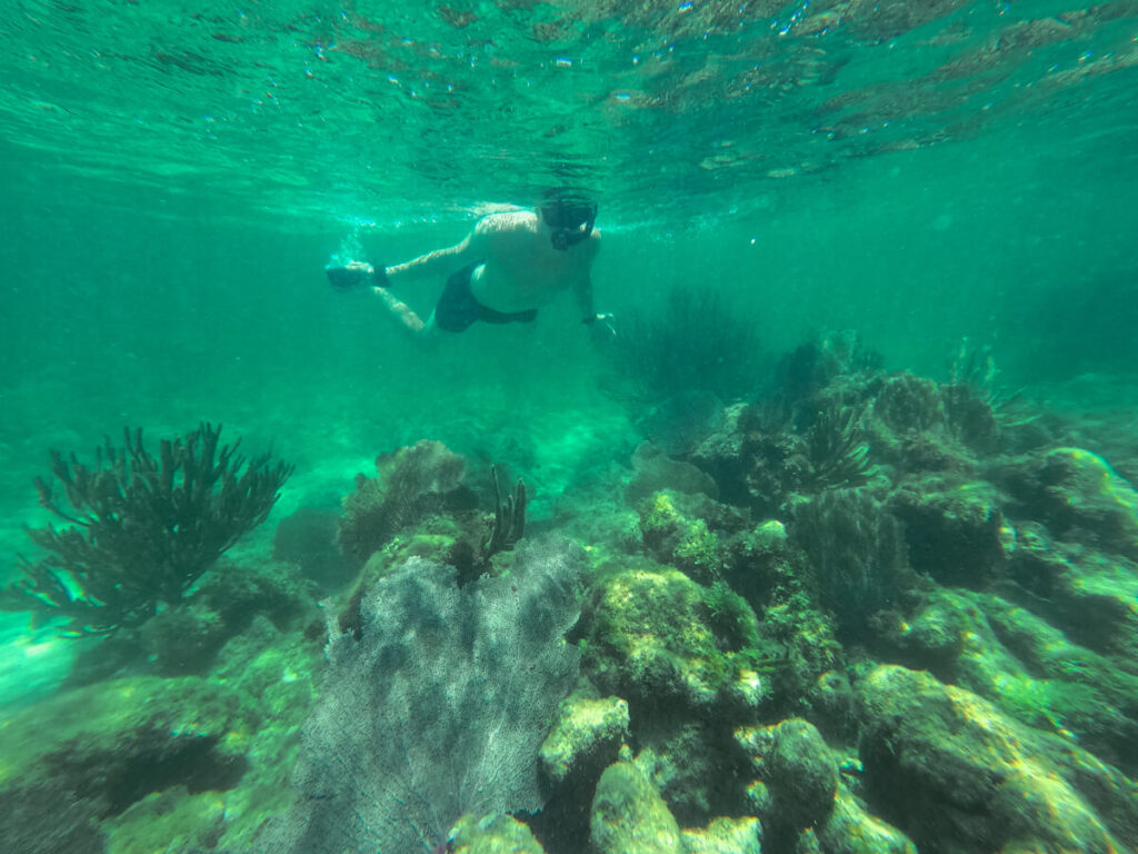 Dan snorkelling with corals in Akumal Bay.