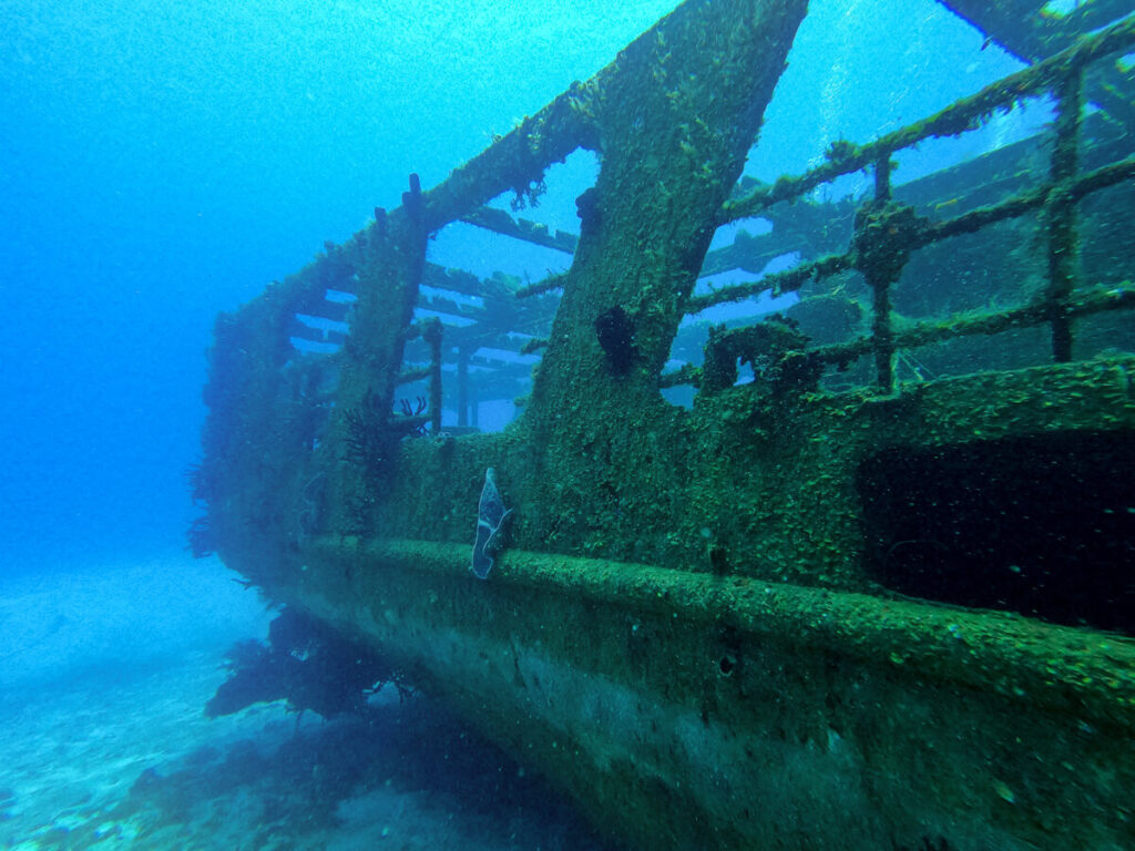The eerie exterior of a submerged shipwreck, seen while diving near Cozumel.