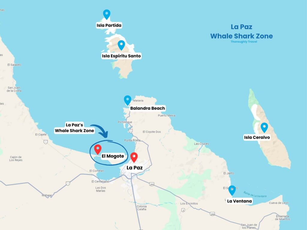 A map showing La Paz, Mexico, and surrounding attractions like Balandra Beach, El Mogote sand dunes, La Ventana, and Isla Espiritu Santo, indicating where the whale shark zone sits.