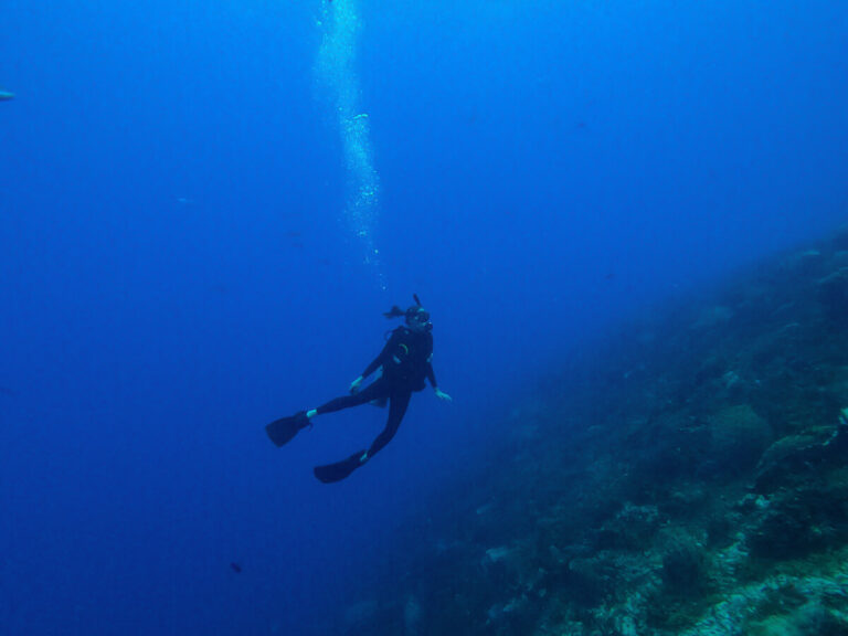 Lucy SCUBA diving in deep blue waters, bubbles rising from her regulator.