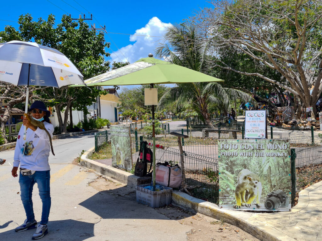 A man standing smiling with a monkey sat on his arm and holding an umbrella to protect him from the sun. A nearby sign reads "Photo with the monkey". This is one of many examples of unethical wildlife practises that are happening worldwide.