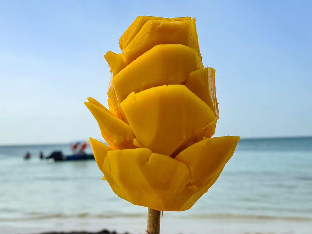 A mango on a stick held up on Playa Holbox.
