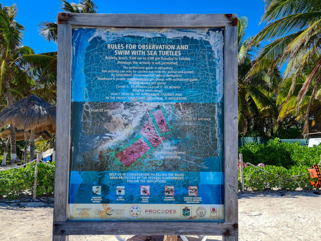 An old sign depicting the rules put in place to protect turtles at Akumal bay. These rules were sadly broken.